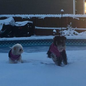 Meet your Posher, Hermenegildo